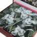 Постельное белье Tivolyo Home GILLES (200x220)